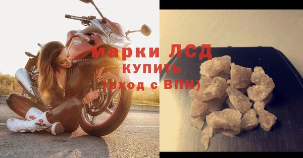 индика Арсеньев